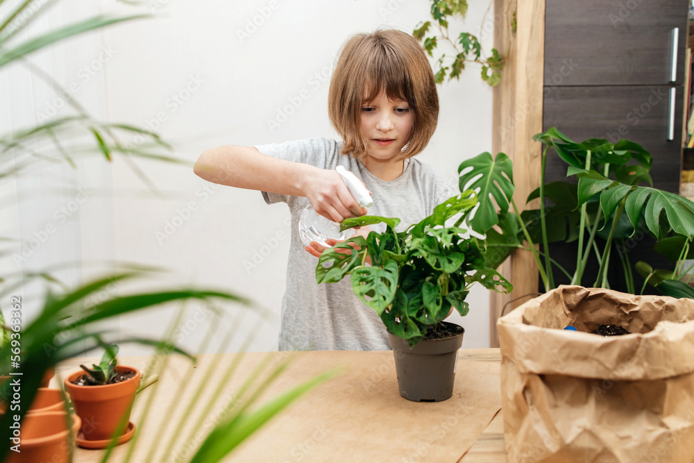 A teenage girl sprays home flowers from a spray bottle at home. House plant care. Hobby for a teenager A teenage girl sprays home flowers from a spray bottle at home. House plant care. Hobby for a teenager