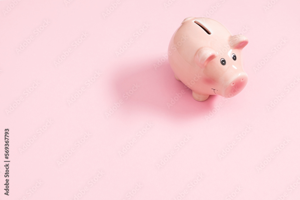 Pink piggy bank on pastel pink background. Flat lay, top view, copy space