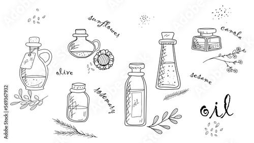Cooking oils in a bottle. Healthy oil from canola, olive, rosemary, sesame, sunflower