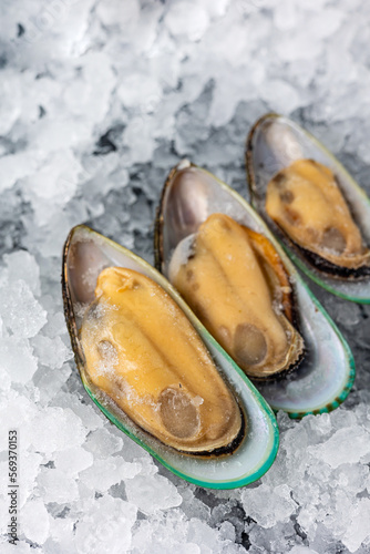 frozen seafood in a fish shop 