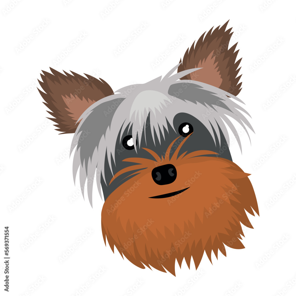 Head of funny Yorkshire terrier dog on white background Head of funny Yorkshire terrier dog on white background