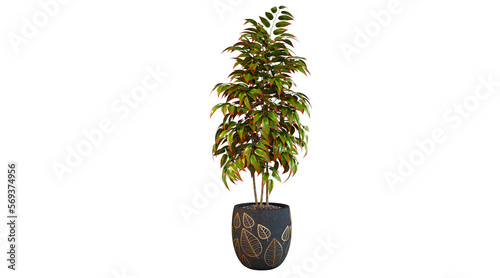 Colorful Plants 3d Render Plant on White Background