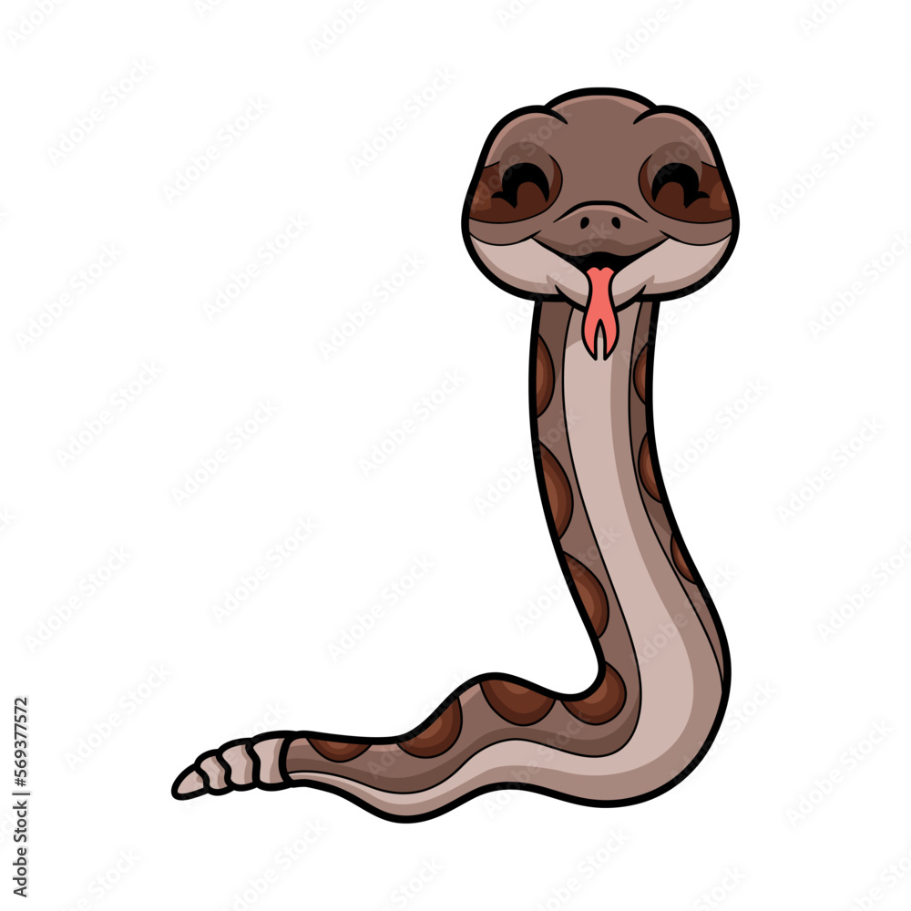 Fototapeta premium Cute rattlesnake cartoon on white background