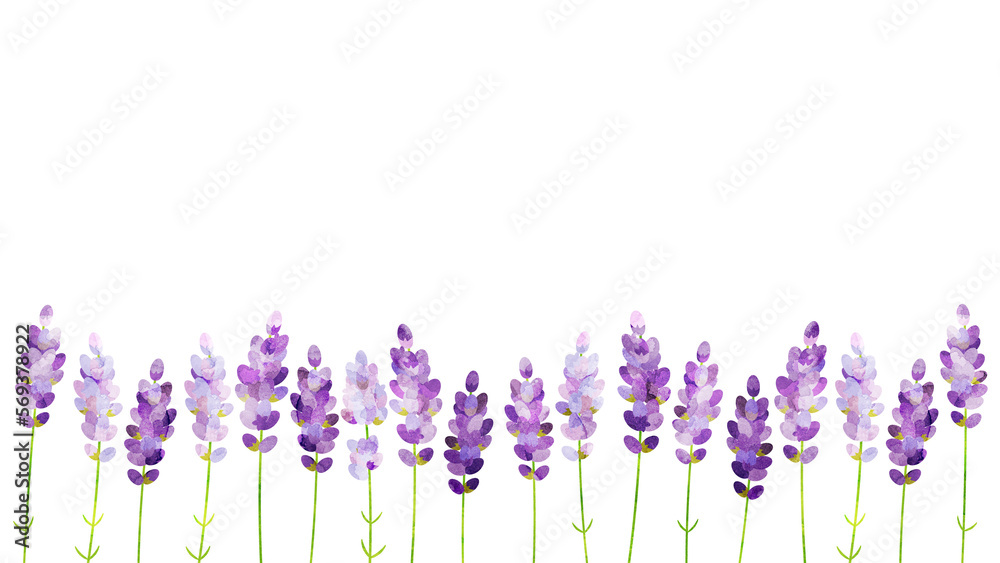 Naklejka premium 水彩風に加工したラベンダーのイラスト アスペクト比16:9バージョン