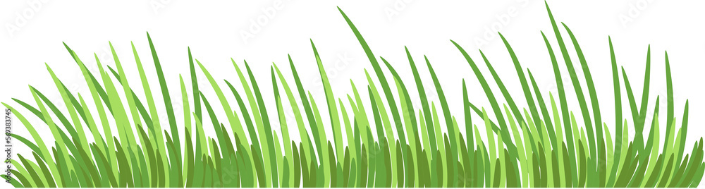 Fototapeta premium Grass png graphic clipart design