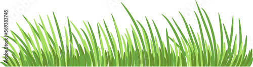 Grass png graphic clipart design