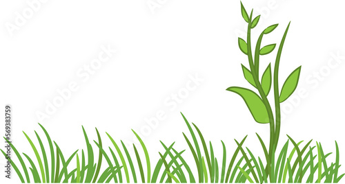 Grass png graphic clipart design