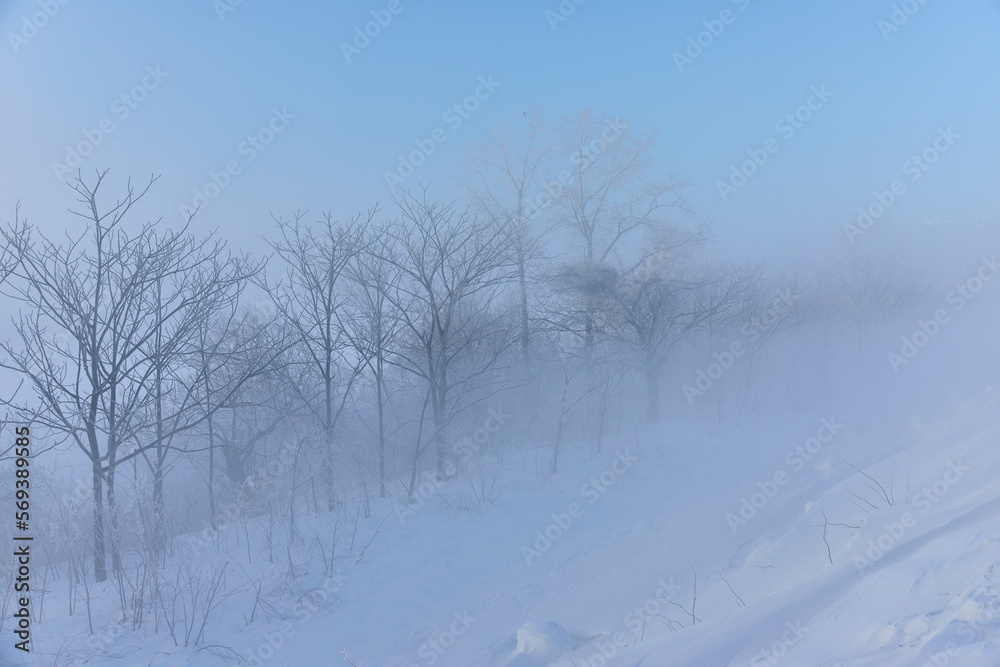 Obraz premium 川霧