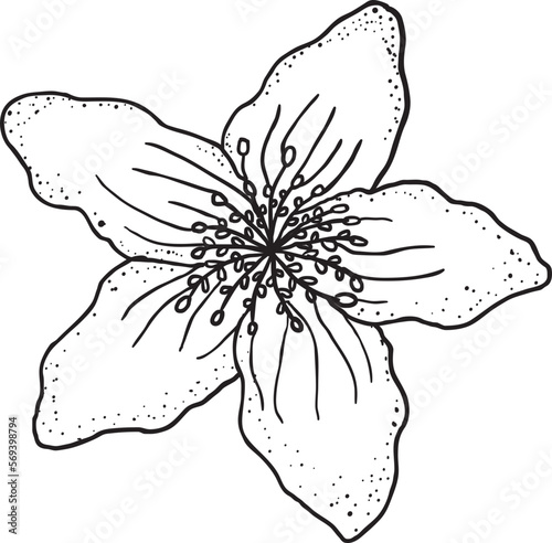 drawing,beauty,flower,pattern,orchid,lotus,tulip,peony,art,simple,painting,canvas,element,leaf,stamen,bloom,feminine,style,silk screen