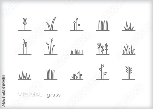 Set of grass line icons of abstract plants