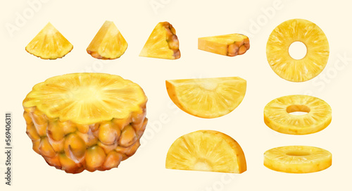3D cut pineapple pieces set