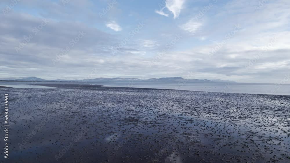 Daytime flight over Dundalk Bay beach, heading out towards the water, with scatterings of birds. Dundalk, Ireland. Daytime flight over Dundalk Bay beach, heading out towards the water, with scatterings of birds. Dundalk, Ireland.