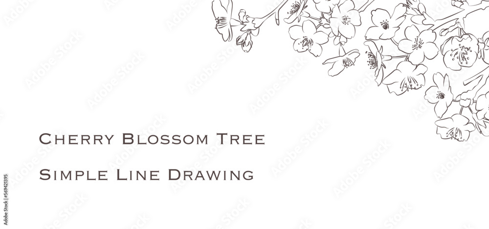 シンプルな桜の花の線画ベクターイラスト 白背景 シンプルな桜の花の線画ベクターイラスト 白背景