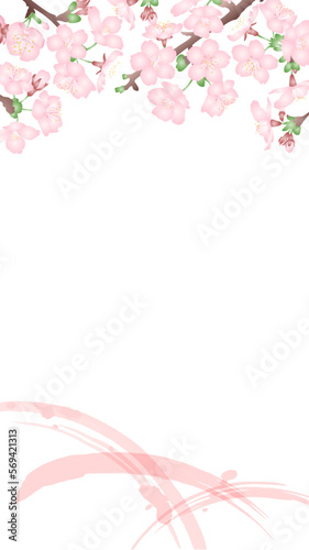 白背景にグラデーションで立体的な桜の花とピンク色の筆のストロークの和風ベクターイラスト　縦型