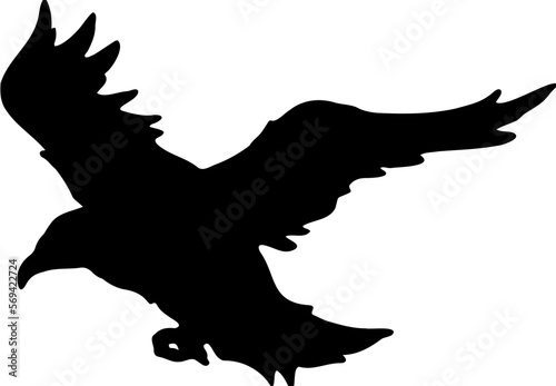 Silhouette of flying Raven