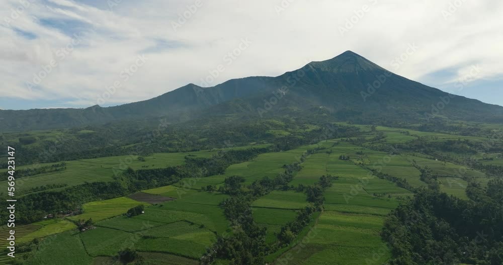 Agricultural plantations and farmland at the foot of the Canlaon volcano. Negros, Philippines Agricultural plantations and farmland at the foot of the Canlaon volcano. Negros, Philippines