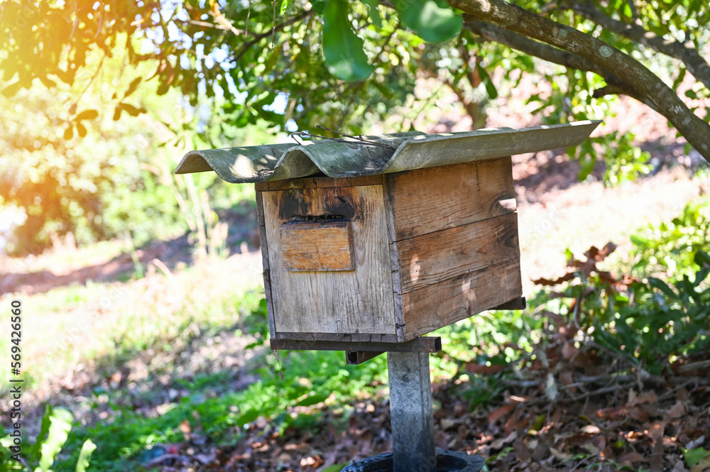 bee house beehive in the garden, wooden honeycomb in the tropical orchard under the tree bee house beehive in the garden, wooden honeycomb in the tropical orchard under the tree
