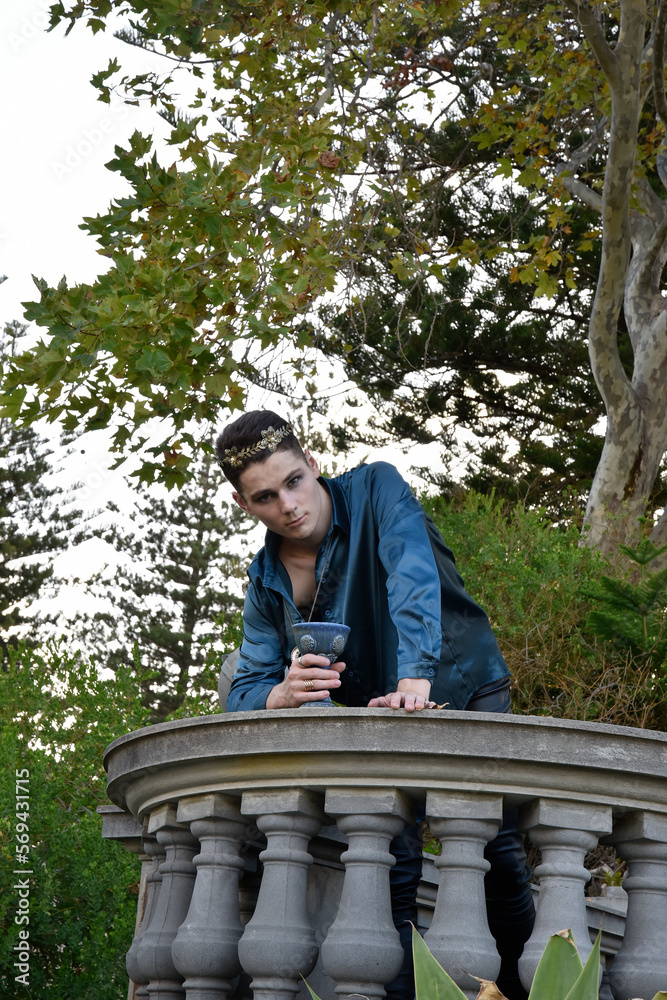 portrait of handsome man wearing fantasy medieval prince costume with golden crown and romantic silk shirt. sitting on a stone balcony in a historical castle location background. portrait of handsome man wearing fantasy medieval prince costume with golden crown and romantic silk shirt. sitting on a stone balcony in a historical castle location background.