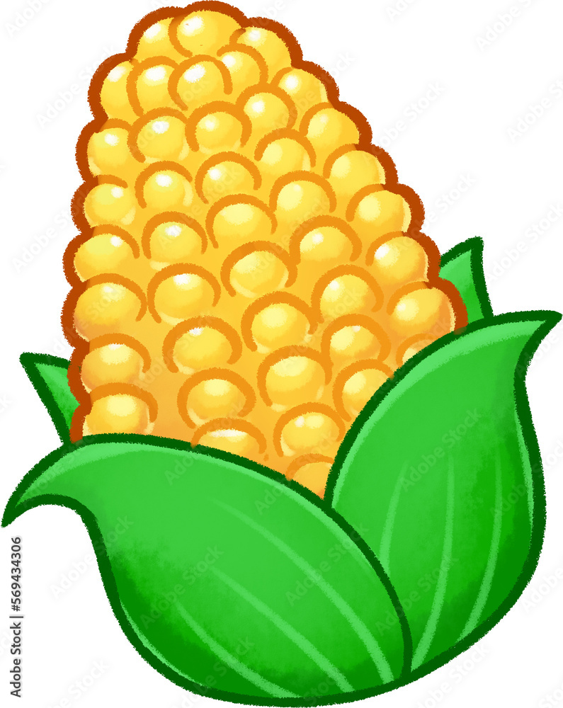 Obraz premium corn illustration