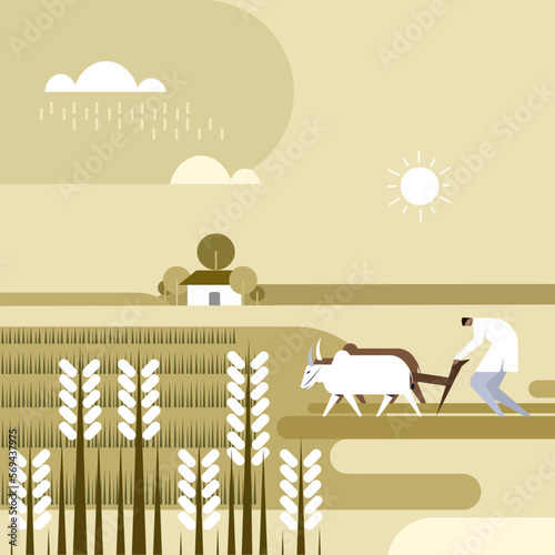 Indian farmer with bullocks working in the agricultural field 