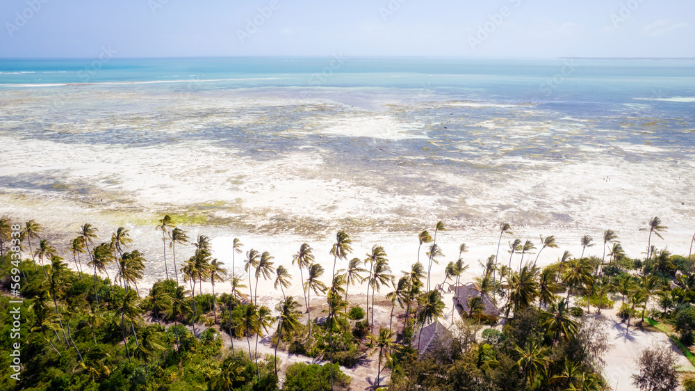 Zanzibar - Summer beach holidays with palm trees and blue ocean, a dream come true