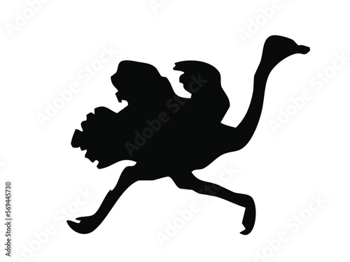 ostrich