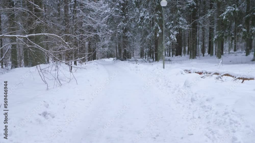 first person view slow motion on snowy road in winter forest first person view slow motion on snowy road in winter forest