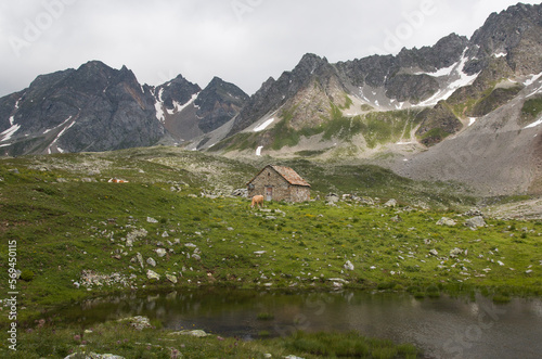 View of typical alpine farm near the lake in the alps, Piedmont, Italy