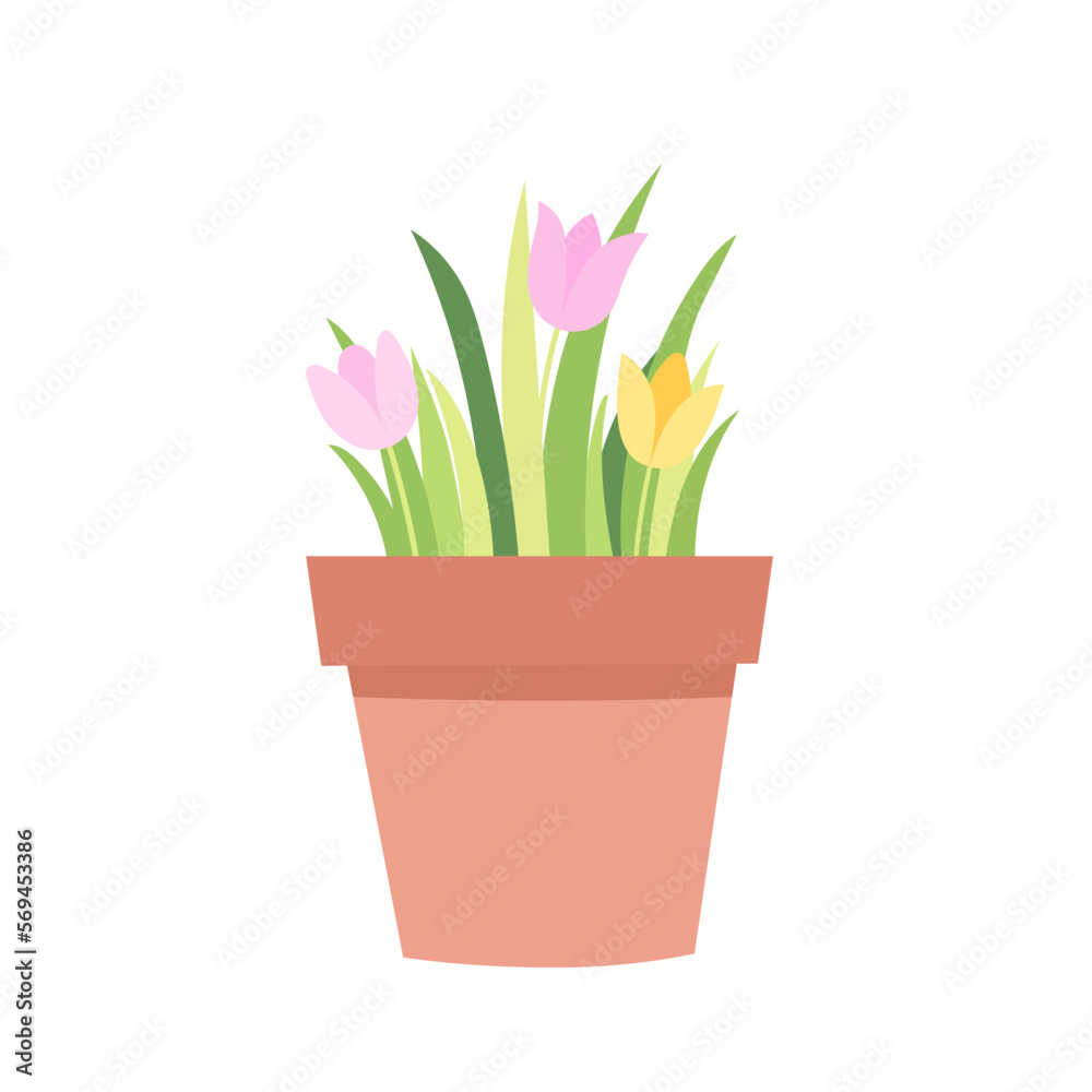 Tulip flower in a pot. Spring plant in flower pot. Cartoon flat vector illustration.