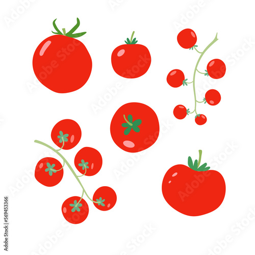 Tomatoes set. Cartoon flat vector illustration.