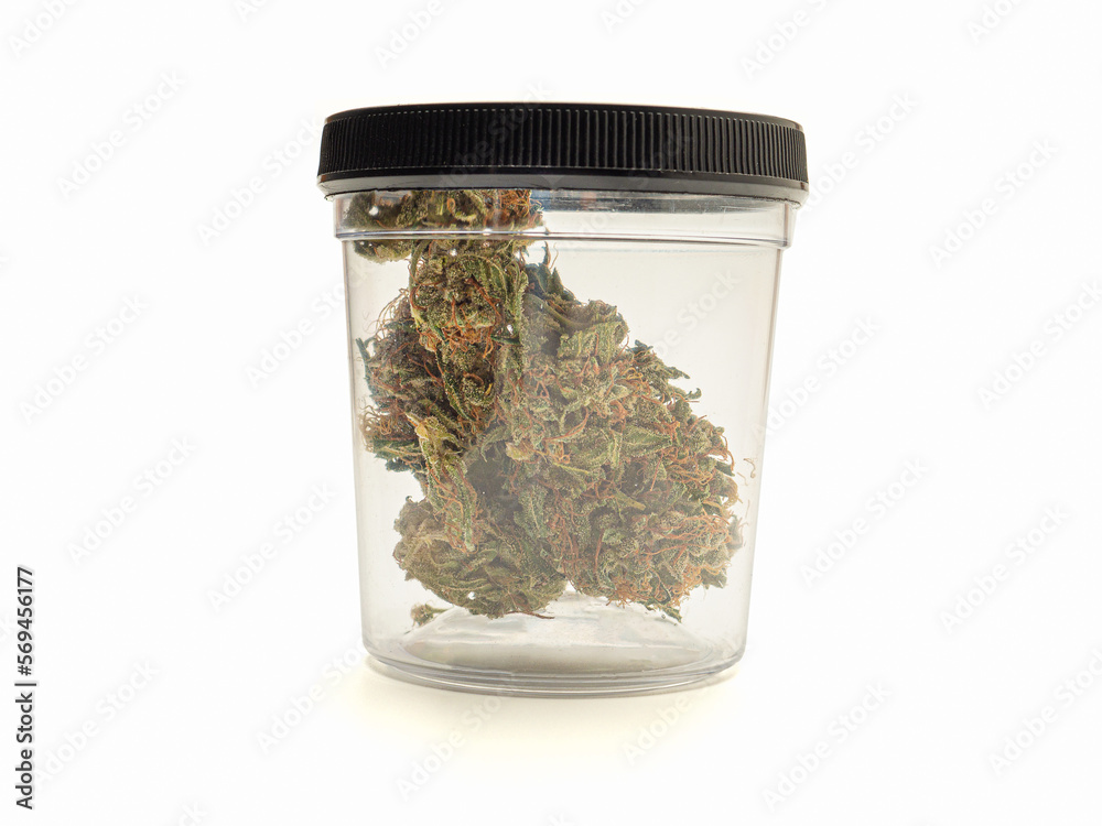 Dry cannabis buds in a plastic box on a white background Dry cannabis buds in a plastic box on a white background