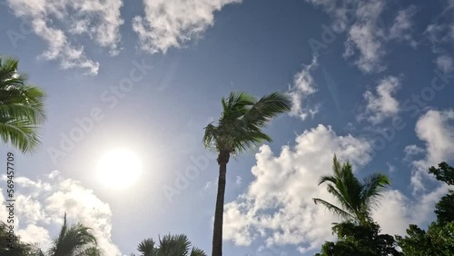 Time lapse-clouds move past bright tropical sun and blowing palm trees