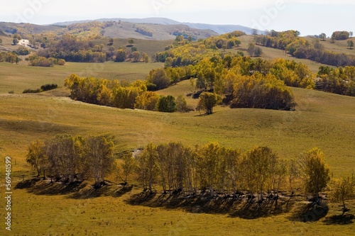 View of Bashang high plain,Neimenggu photo