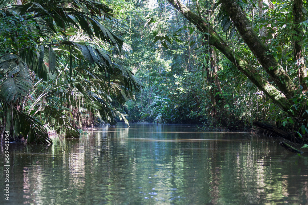 Waterway in Tortuguero National Park, Costa Rica Waterway in Tortuguero National Park, Costa Rica
