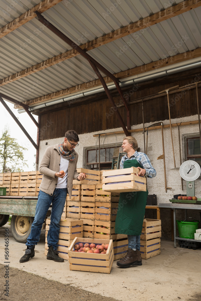 Wholesale purchaser buying apples in organic farm, Bavaria, Germany Wholesale purchaser buying apples in organic farm, Bavaria, Germany