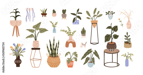 Potted leaf plants, flowers in vases, green interior houseplants set. Home foliage natural decorations growing in planters, baskets, flowerpots. Flat vector illustrations isolated on white background