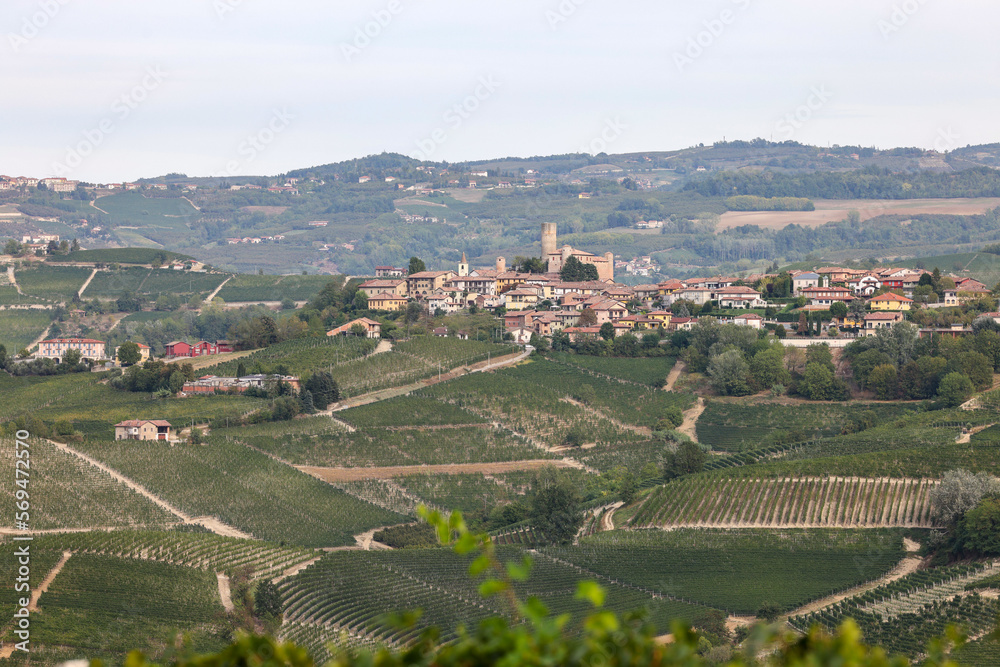 Langhe vineyards near Serralunga d'Alba. Unesco Site, Piedmont, Italy