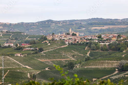 Langhe vineyards near Serralunga d'Alba. Unesco Site, Piedmont, Italy