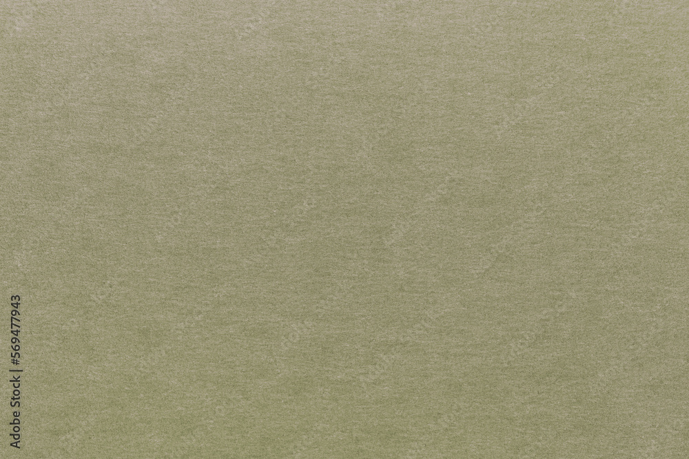 Fototapeta premium Abstract textured background with fine details