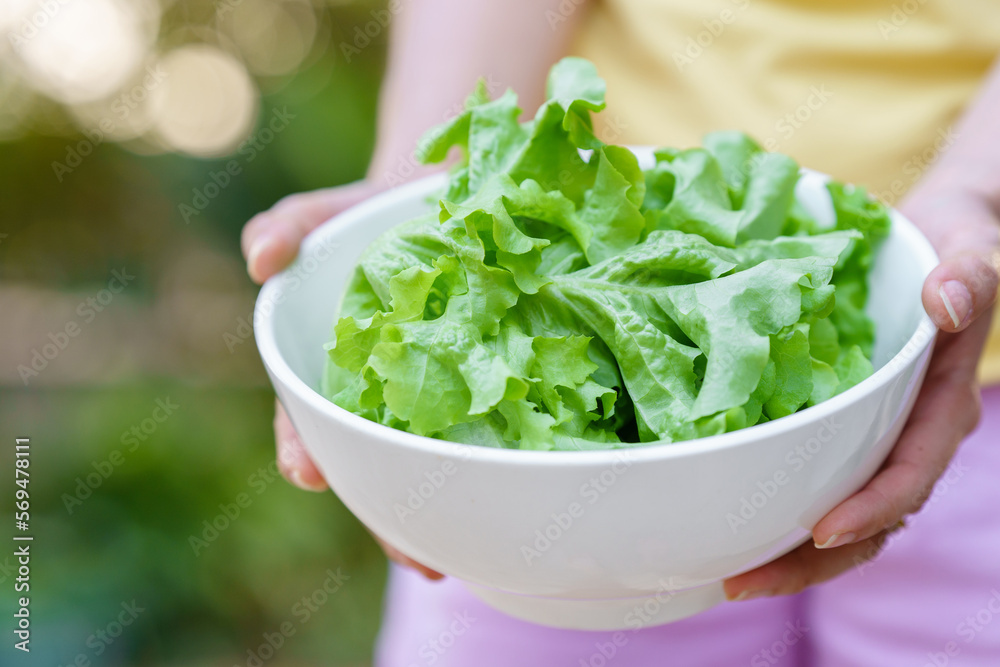 Hand holding lettuce in a white bowl. Hand holding lettuce in a white bowl. Hand holding lettuce in a white bowl. Hand holding lettuce in a white bowl.