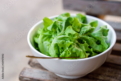 Leafy greens or lettuce in white bowls that are commonly used in salads or eaten fresh. Healthy food concept.