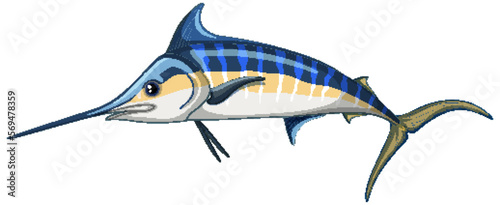 Atlantic blue marlin on white background