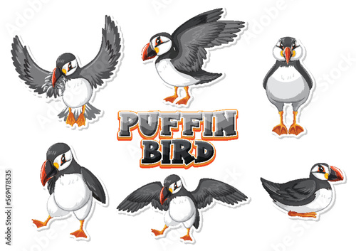 Set of puffin bird cartoon character in different poses