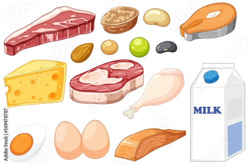 Group of protein food
