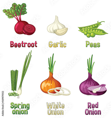 Root vegetables set on white background