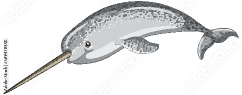 Narwhal on white background