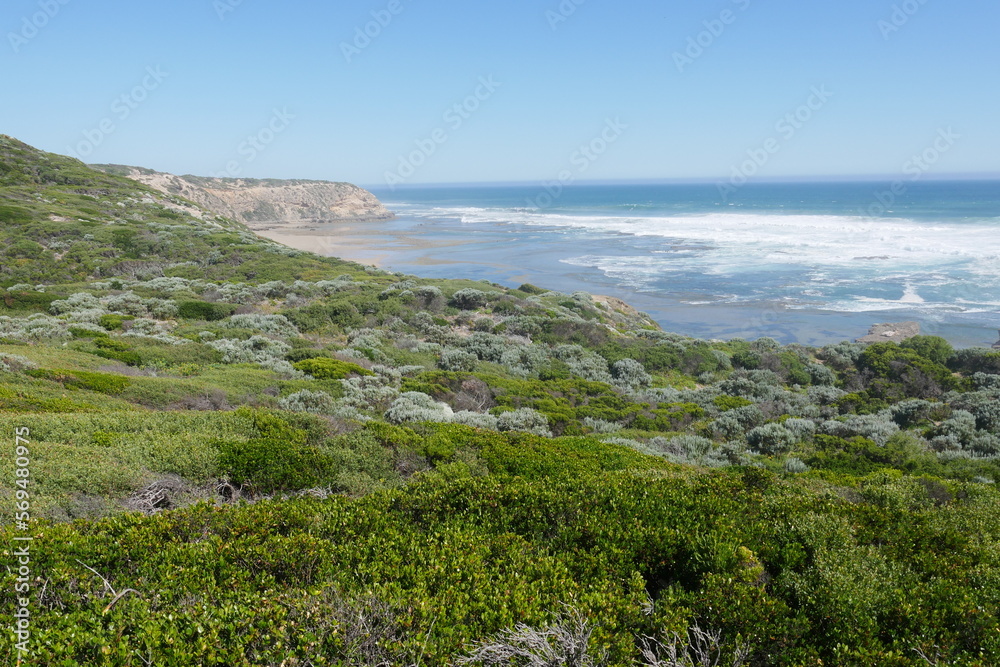 Nationalpark auf der Halbinsel Mornington bei Melbourne