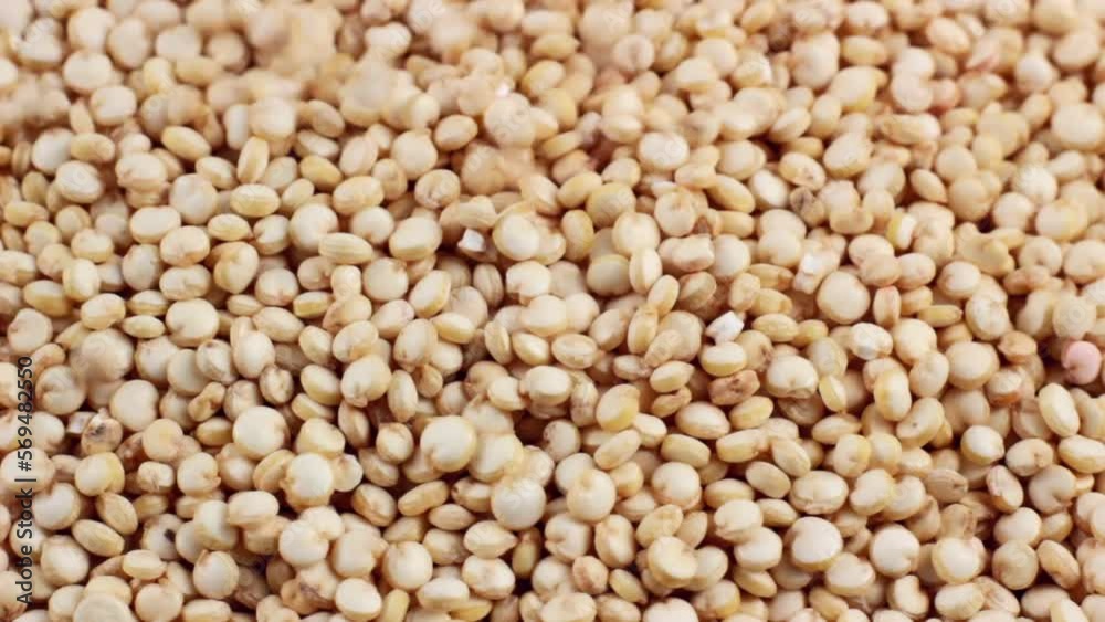 White quinoa uncooked seeds falling down close up White quinoa uncooked seeds falling down close up