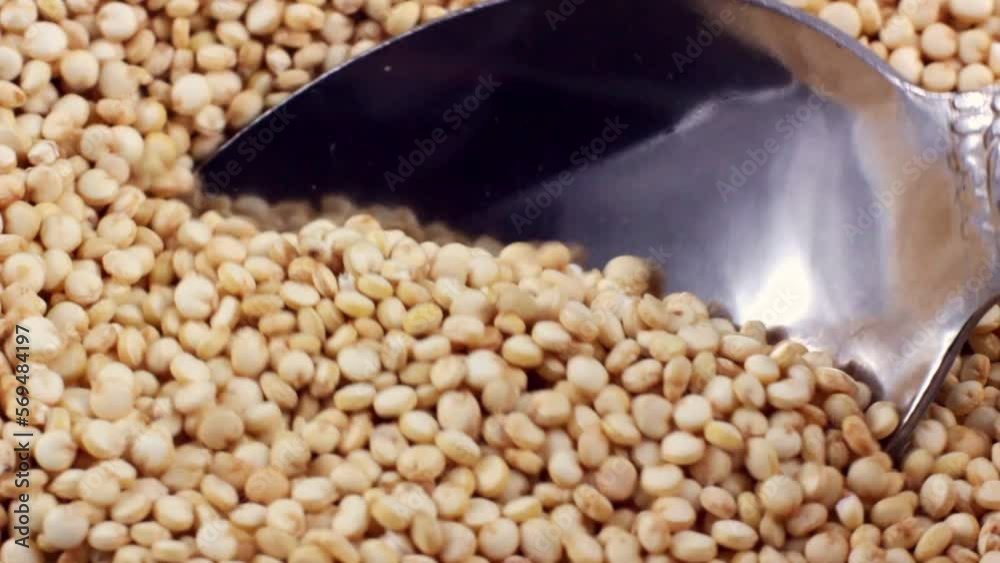 White quinoa uncooked seeds in the spoon close up White quinoa uncooked seeds in the spoon close up