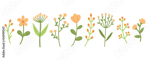 Garden floral plants set. Simple doodle flower plants isolated on white background. Colorful flat vector illustration